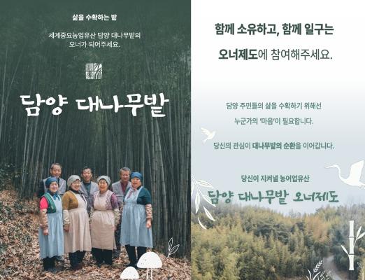 담양군, 대나무밭 보전·관리 크라우드 펀딩 시작_2