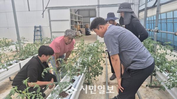 영암군, 청년에게 방울토마토 과학적 재배 기술 전수_2