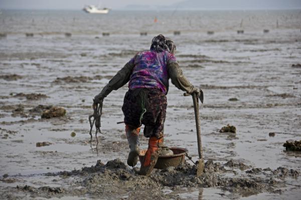  '씨가 말랐다·한 접에 20만원'…낙지 없는 무안낙지축제 전망에 '초비상'   _2