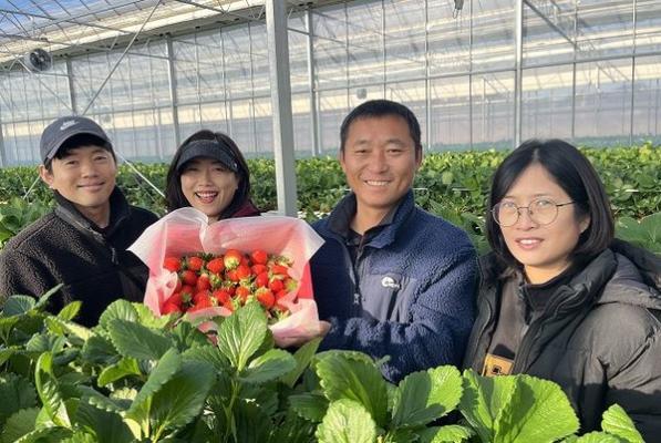 강진군, 청년 농업인 스마트팜 딸기 재배 시작_2