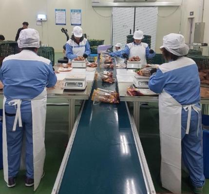 전남 친환경농산물, 경기지역 학교 급식재료로 공급_2