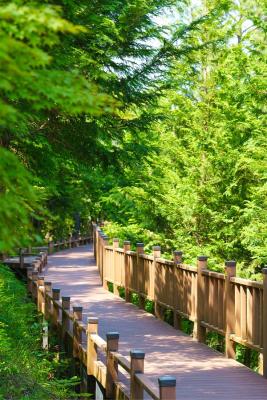 보성군 제암산자연휴양림·치유센터, 사계절 체험형 치유 관광지로 주목_2