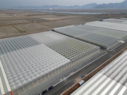 농식품부 스마트농업 육성지구 공모에 장흥·무안_2