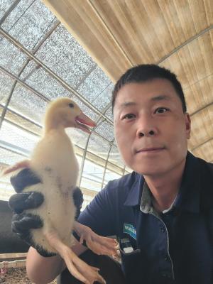 산골로 간 해상엔지니어…강진서 오리농장으로 인생 2막_2