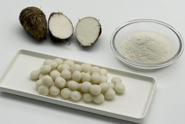 전남농기원, 곡성 토란 활용한 '토란 조롱이떡' 상품화_2