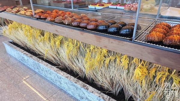 전남, 가루쌀 전문생산단지 51곳 선정… 전국 최다_2