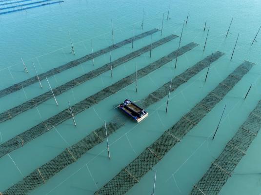 전라남도, 수산물 생산량 전국 1위…60%가 '전남산'_2