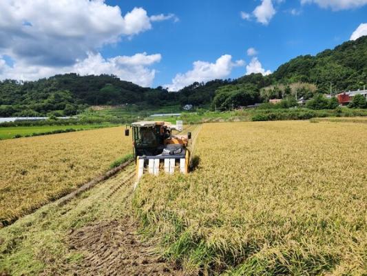 전라남도, 벼 경영안정대책비 미지급분 114억 지급한다_2
