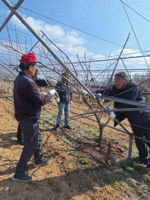 함평군, 농업인상담소 가동…현장 중심 영농지원 강화_2