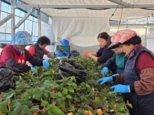 전라남도 여성농업인 복지사업, 더 넓고 두터워진다_2