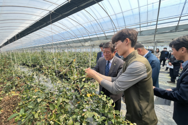 곡성군, 신소득 원예 특화단지 공모 선정_2