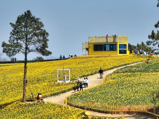 전라남도, 우수 종자·종묘생산기반 구축 나섰다_2