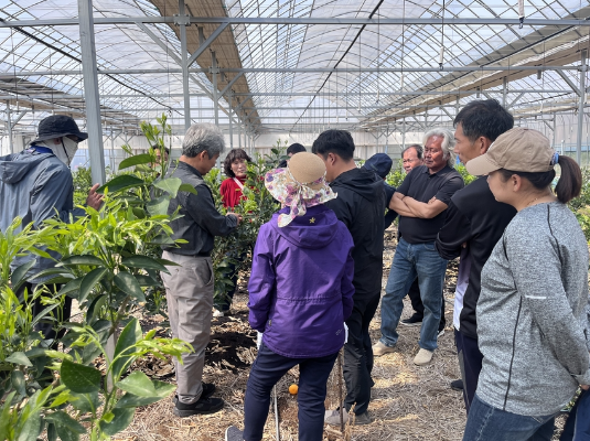 곡성군, 만감류 현장 컨설팅으로 품질 고급화_4