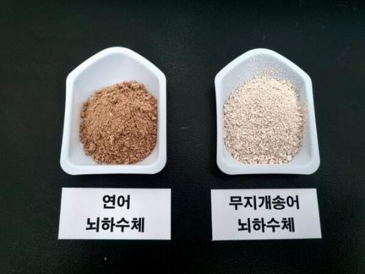 전라남도해양수산과학원 , 민물장어 인공종자 생산 연구 확대_2