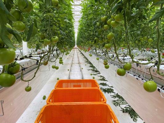 나주시 시설원예 지원사업 체계화…농가 대응력 강화_2