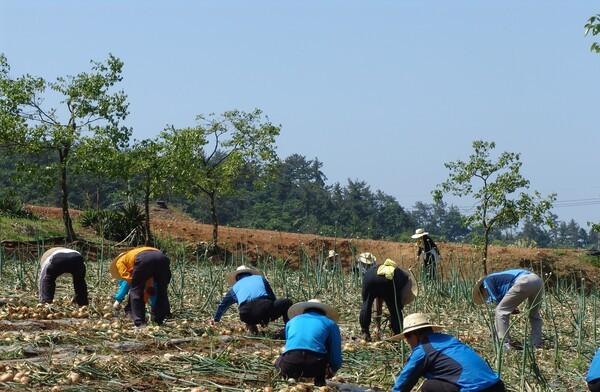 전라남도, 농어민 공익수당 70만원 지급한다_2
