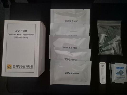 새우 전염병 ‘복합 진단키트’ 전국 첫 개발_2