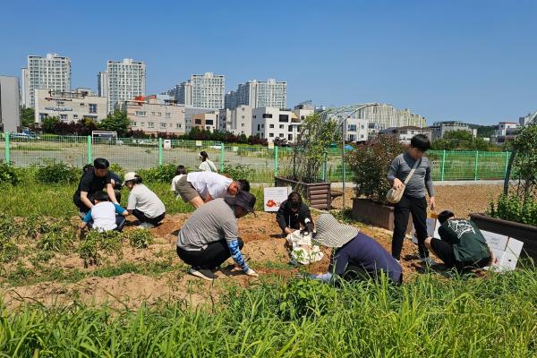 텃밭서 키우는 공동체…순천 도시농업 활력_2