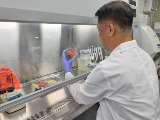 전남광주 여름철 축산물 식중독 안전 판정_2