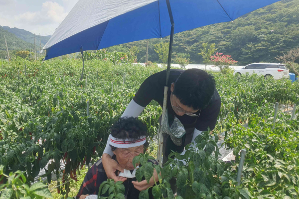 함평군농업기술센터, 폭염대응 출장단 편성_2