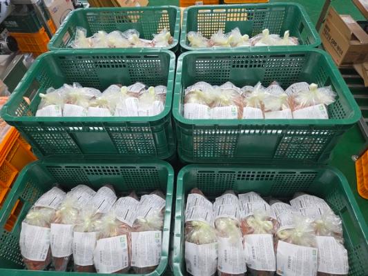 전남광주 김치, 미국 수출길…10월엔 유럽도 뚫는다_2
