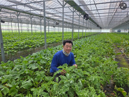 전남광주통합특별시, 9월의 친환경농산물로 장성 