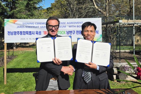 전남광주농기원, 골드키위 ‘해금’ 남반구 시장 진출 본격화_2