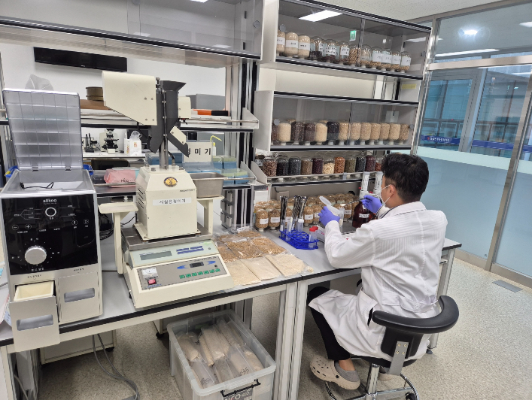 전남광주특별시 