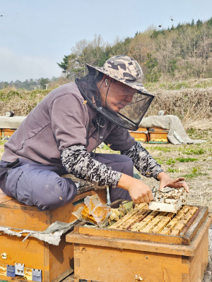 “따뜻한 환대에 꿀벌과 함께 강진서 살기로 했죠”_2
