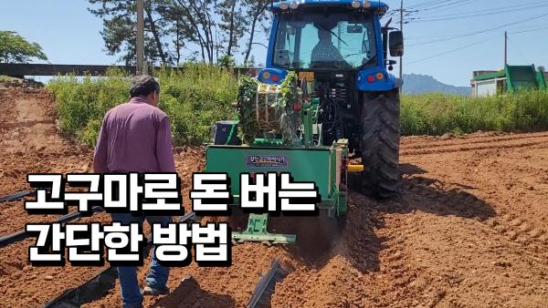 퇴사하고 귀농 5년만에 일년에 40억씩 고구마 키워 파는 40대_3