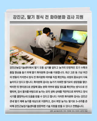 오늘의 전남광주뉴스_8월 4주차_6